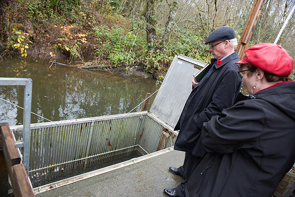 PSF - TYNEHEAD HATCHERY - MP Ken Hardie-106