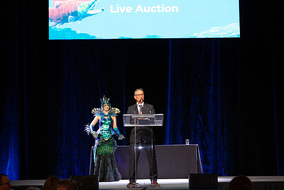 3-D+L-PSF GALA 2022-73