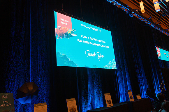 4-SETUP-PSF GALA 2022-101