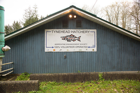 PSF - TYNEHEAD HATCHERY - MP Ken Hardie