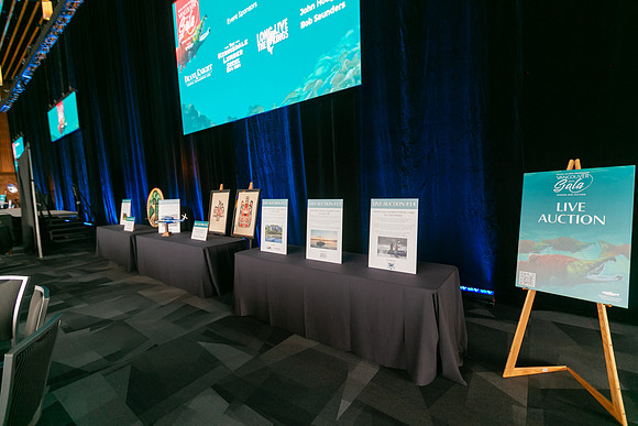 4-SETUP-PSF GALA 2022-71