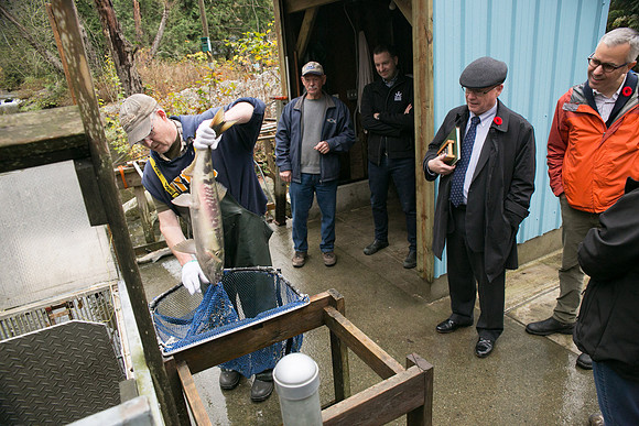 PSF - TYNEHEAD HATCHERY - MP Ken Hardie-116
