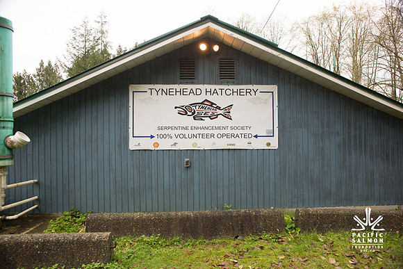 PSF - TYNEHEAD HATCHERY - MP Ken Hardie