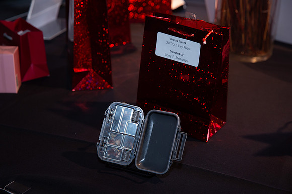 4-SETUP-PSF GALA 2022-383