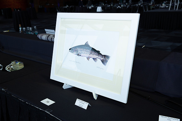4-SETUP-PSF GALA 2022-165