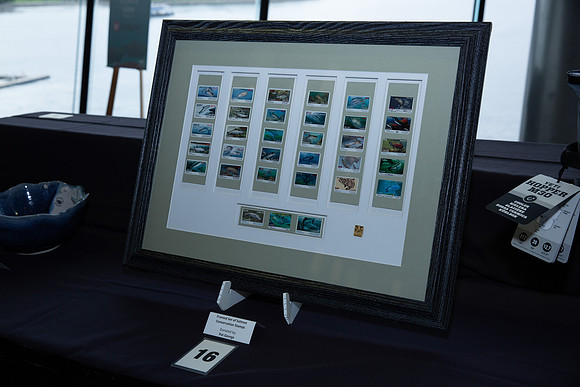 4-SETUP-PSF GALA 2022-132