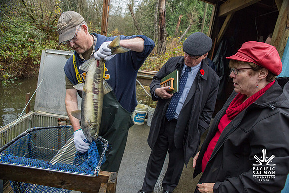 PSF - TYNEHEAD HATCHERY - MP Ken Hardie-113