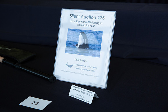4-SETUP-PSF GALA 2022-163