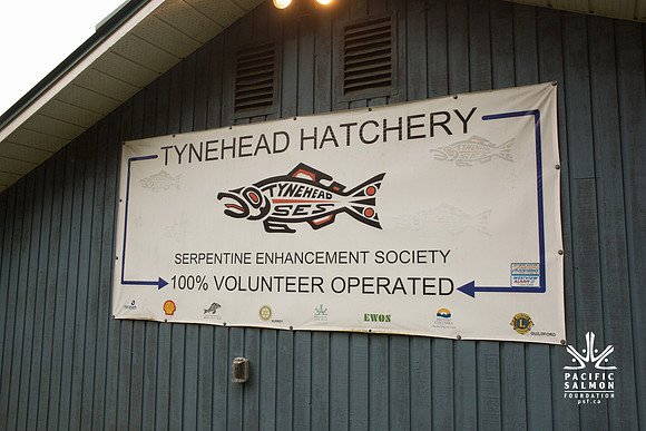 PSF - TYNEHEAD HATCHERY - MP Ken Hardie-3