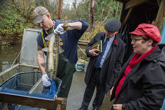 PSF - TYNEHEAD HATCHERY - MP Ken Hardie-113