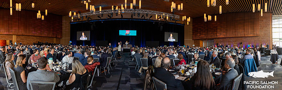 3-D+L-PSF GALA 2022-3