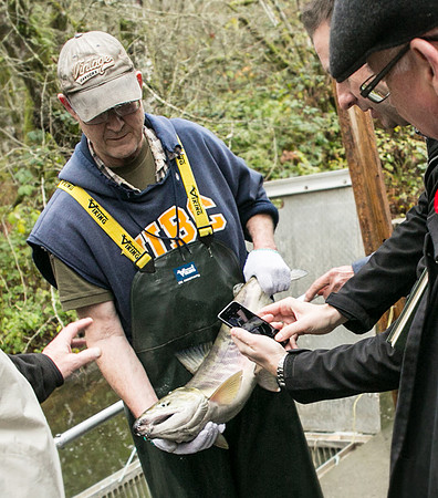 PSF - TYNEHEAD HATCHERY - MP Ken Hardie-122