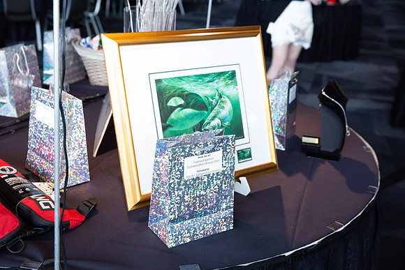4-SETUP-PSF GALA 2022-416