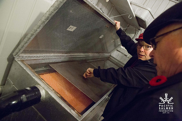 PSF - TYNEHEAD HATCHERY - MP Ken Hardie-86